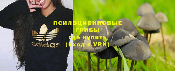 скорость Кинешма